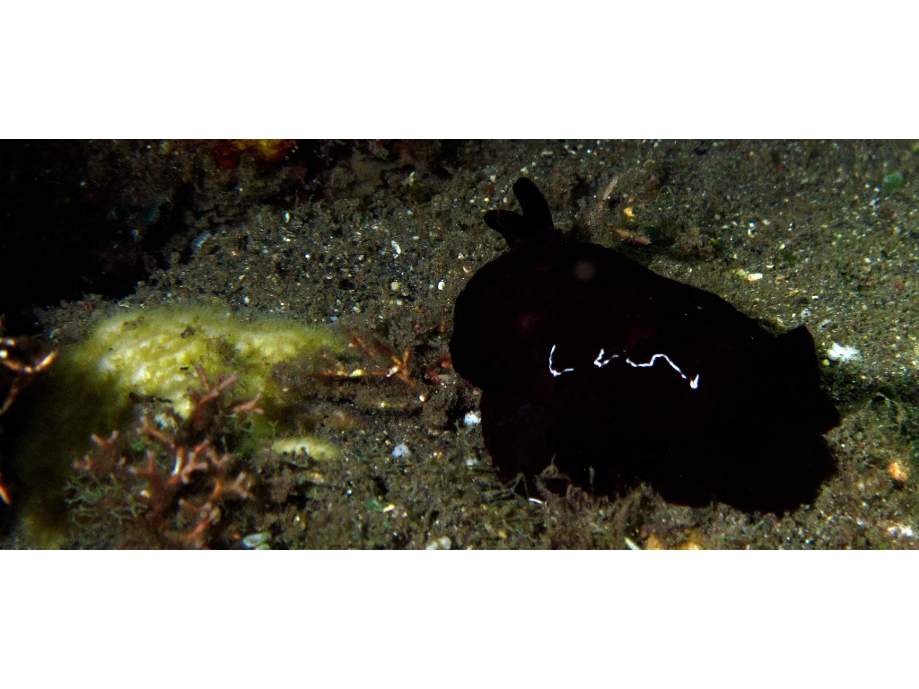 IMG_6324 - Version 2 IMG_6324 - Version 2